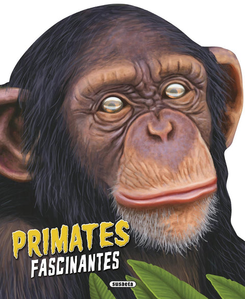  Primates fascinantes 
