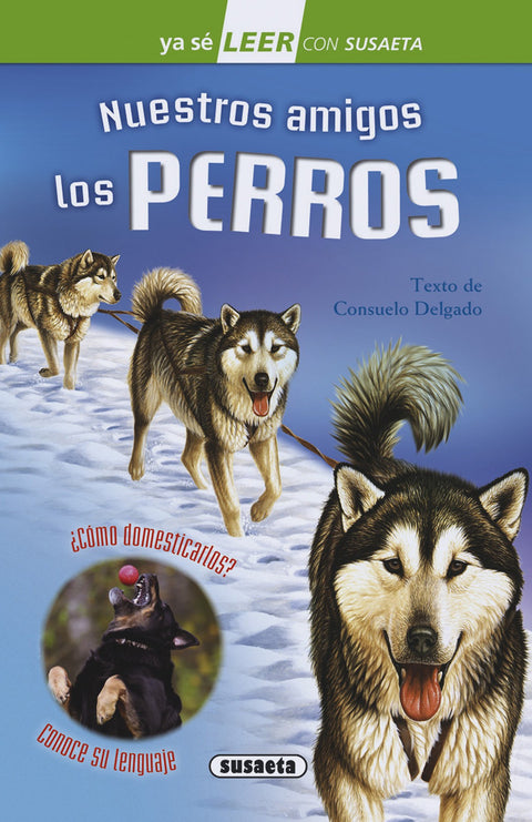  Nuestro amigos los perros 