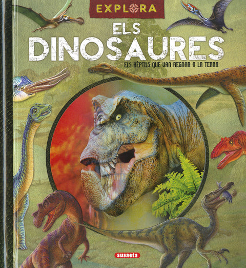 ELS DINOSAURES 