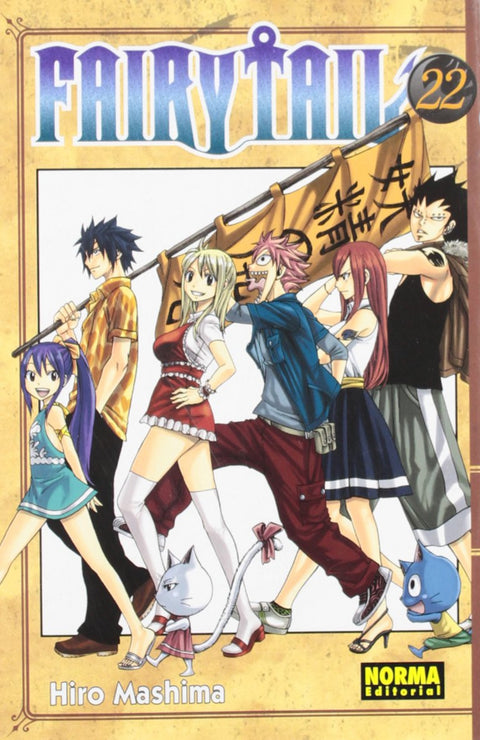  FAIRY TAIL 22 
