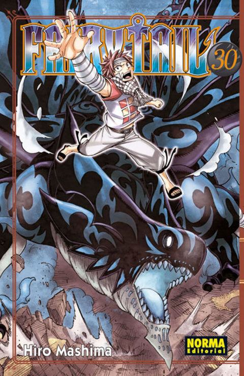  Fairy Tail 
