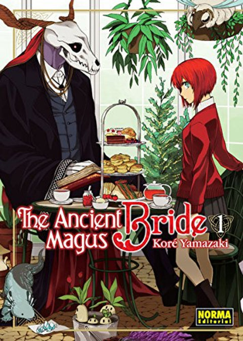  The ancient magnus bride 