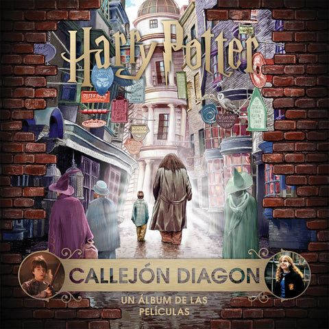  CALLEJÓN DIAGON 