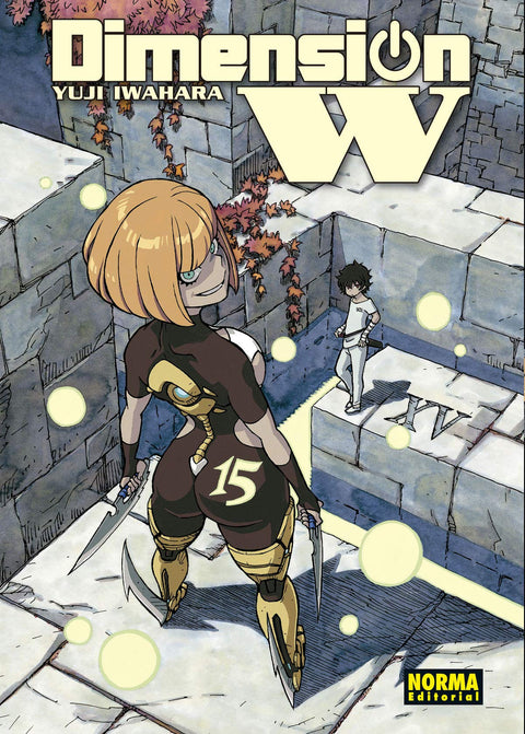  DIMENSION W 15 