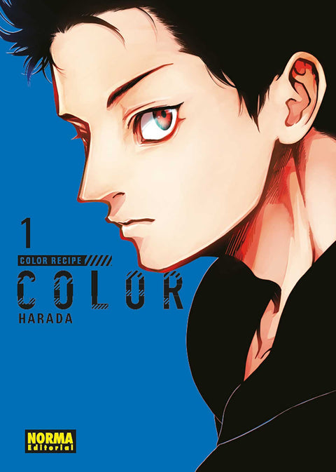  COLOR RECIPE 1 