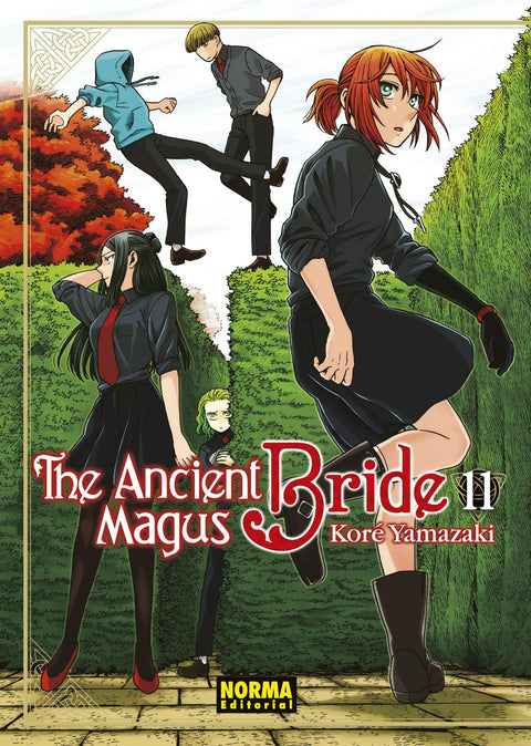  The Ancient Magus Bride 11 