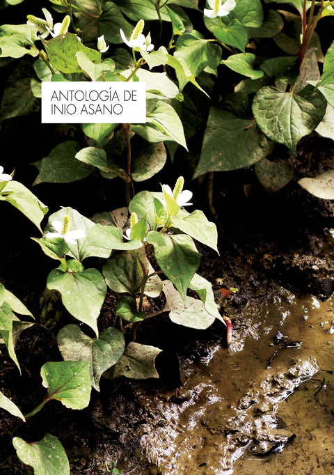  ANTOLOGIA DE INIO ASANO 