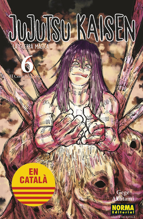  JUJUTSU KAISEN 06 CATALA 