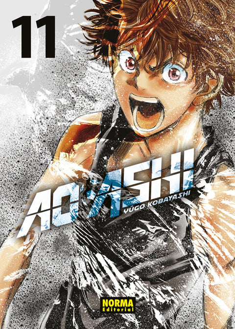  AO ASHI 11 