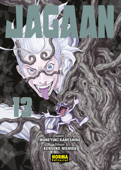  JAGAAN 13 