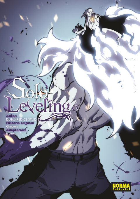  SOLO LEVELING 06 