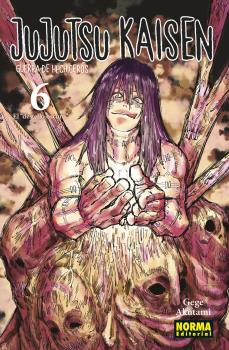  JUJUTSU KAISEN 06 (NUEVO PVP) 