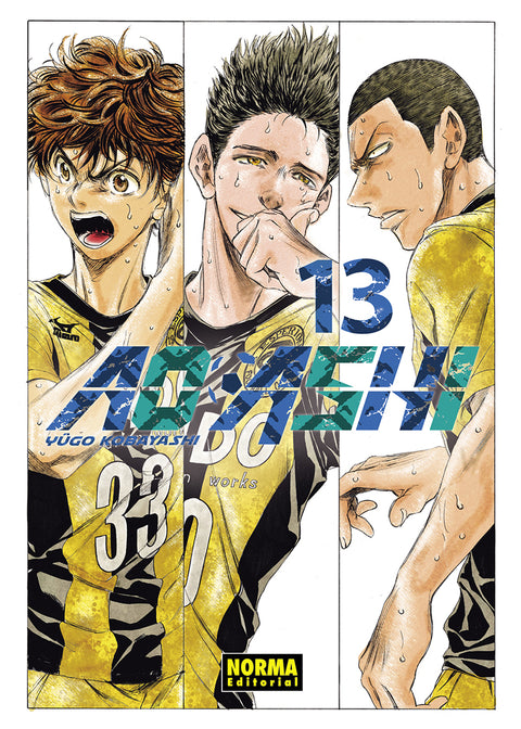  AO ASHI 13 