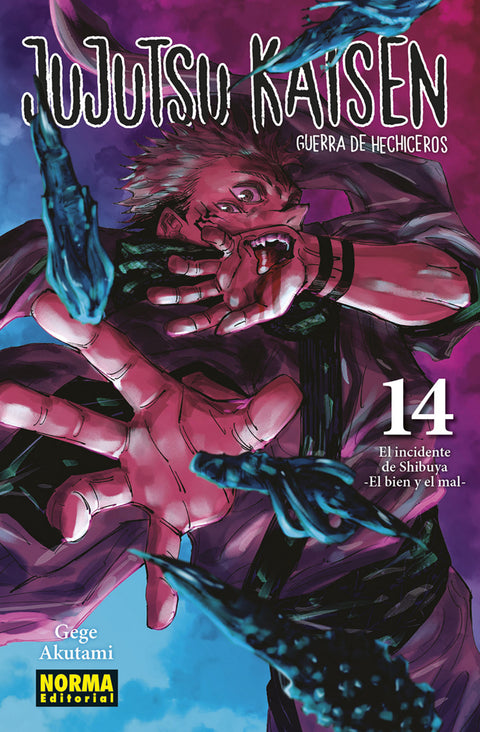  JUJUTSU KAISEN 14 (NUEVA EDICIÓN) 