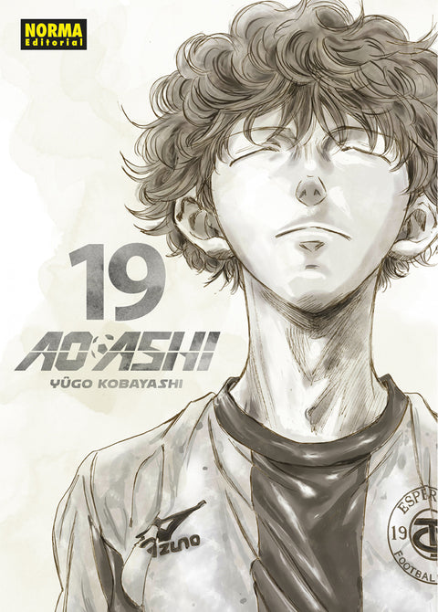  AO ASHI 19 