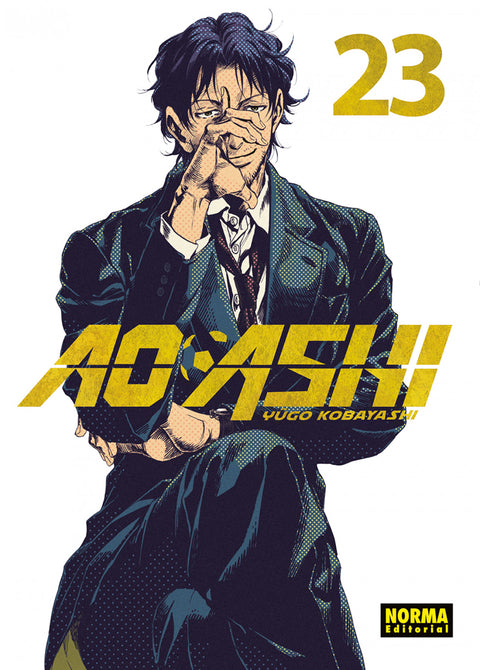  AO ASHI 23 