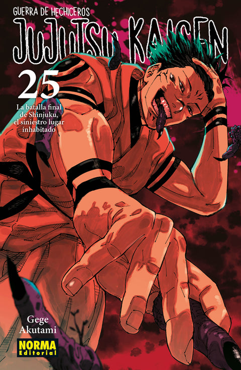  JUJUTSU KAISEN 25 