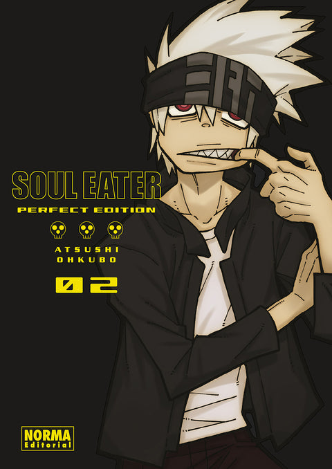  SOUL EATER PERFECT EDITION 02 