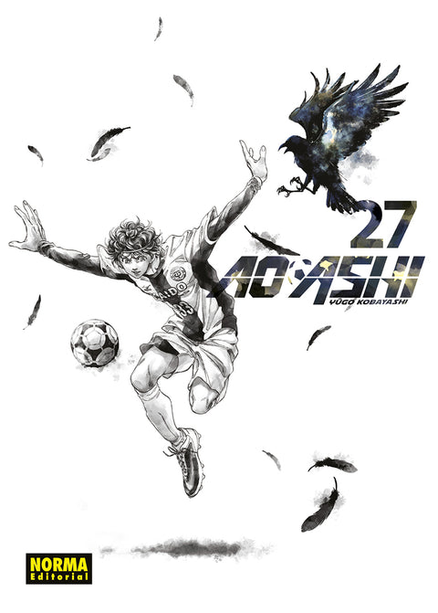  AO ASHI 27 