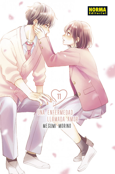  UNA ENFERMEDAD LLAMADA AMOR 11 