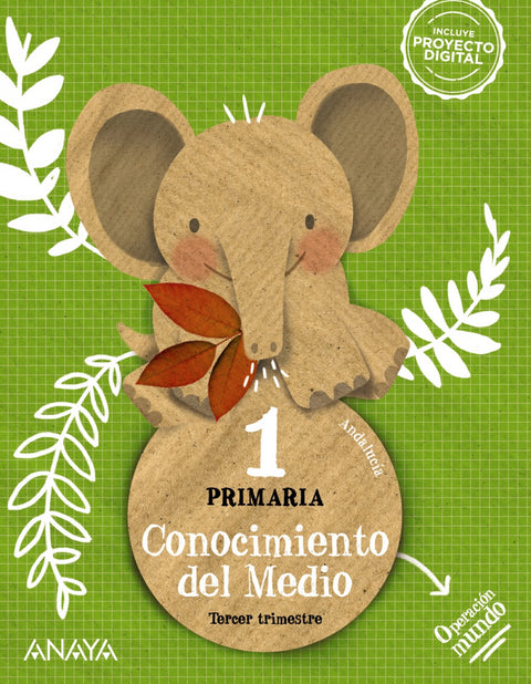  CONOCIMIENTO DEL MEDIO 1ºPRIMARIA. CUADRÍCULA. OPERACIÓN MUNDO. ANDALUCÍA 2023 