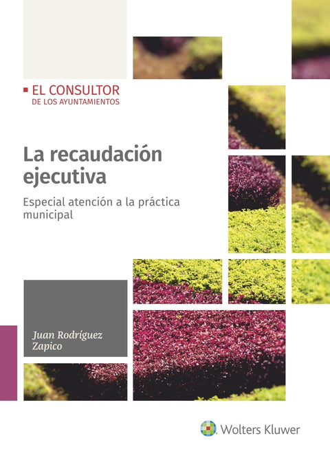  La recaudación ejecutiva 