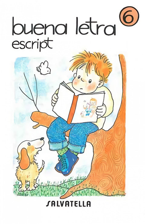  Buena letra escript 6 