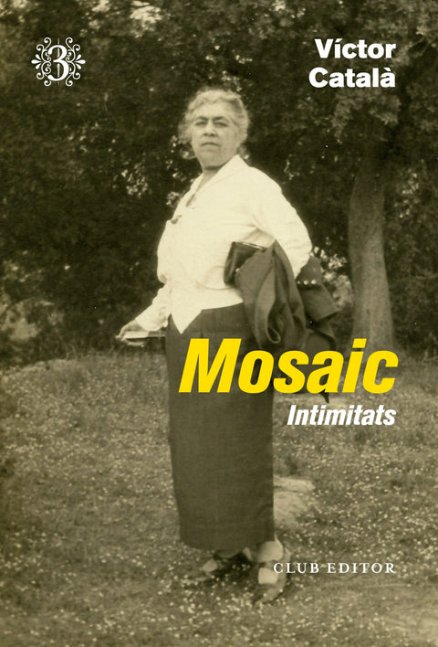  Mosaic 3 