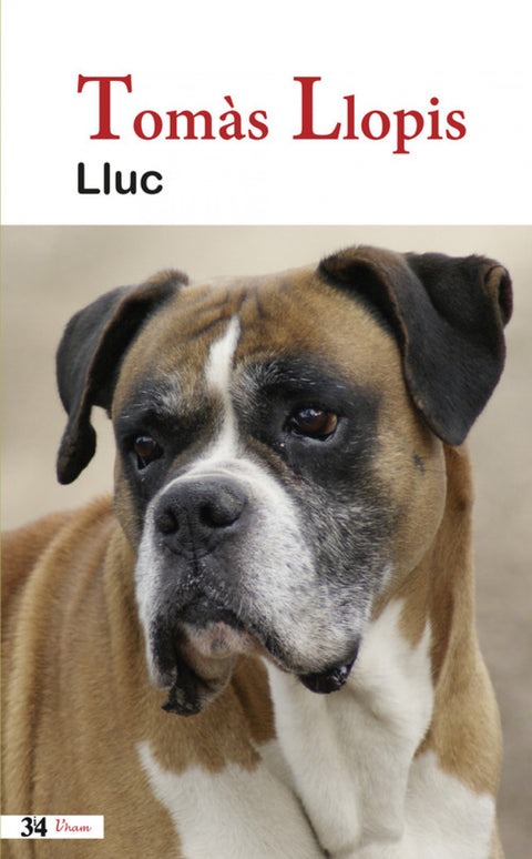  Lluc 