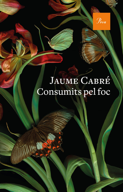  Consumits pel foc 