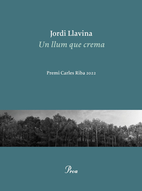  Un llum que crema 