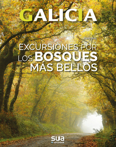  EXCURSIONES A LOS BOSQUES MÁS BELLOS 
