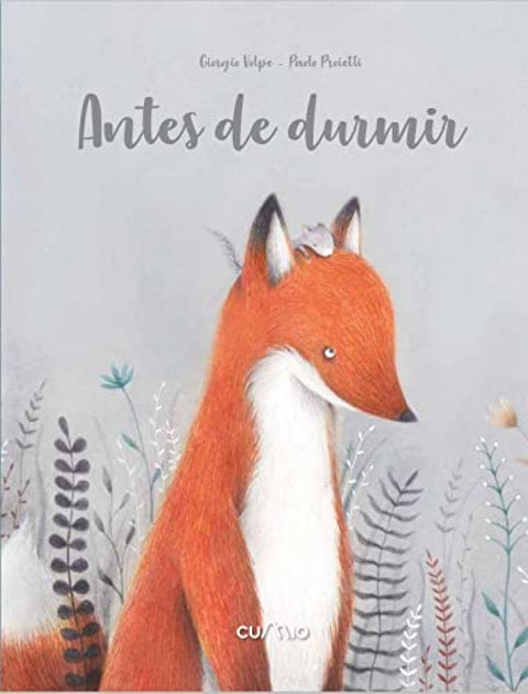  ANTES DE DURMIR 