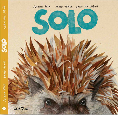  SOLO 
