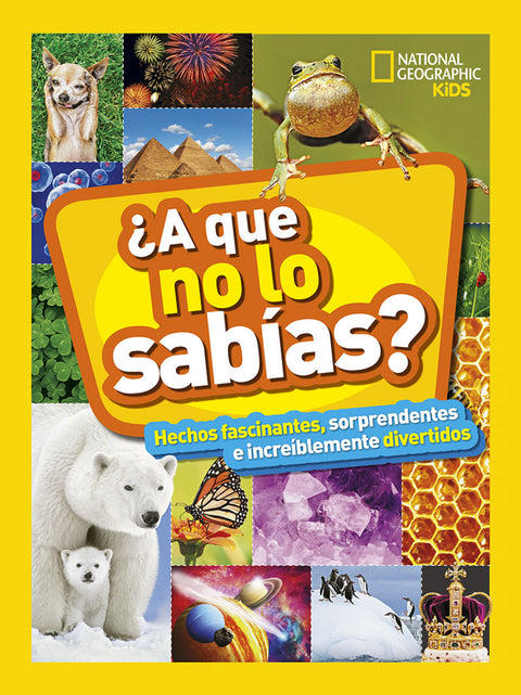  ¿A que no lo sabías? 