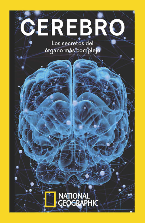  Cerebro 