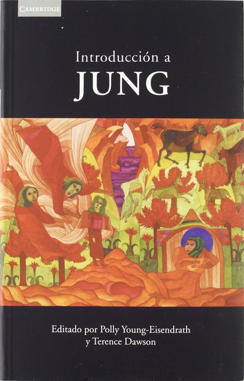  Introducción a Jung 