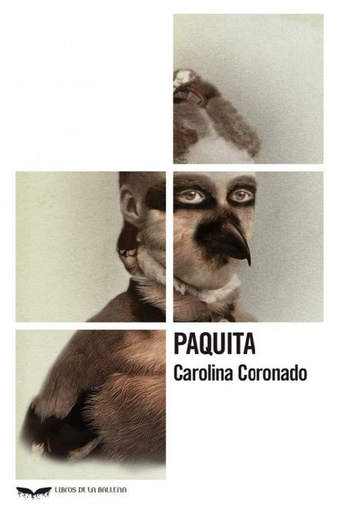  Paquita 