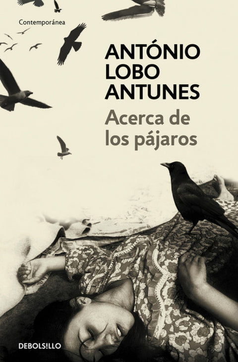  Acerca de los pájaros 