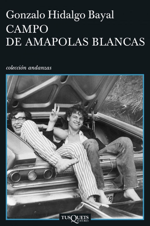 Campo de amapolas blancas 