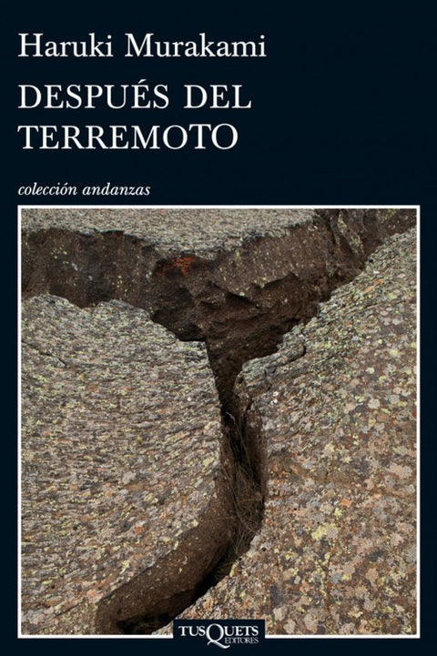  Después del terrremoto 