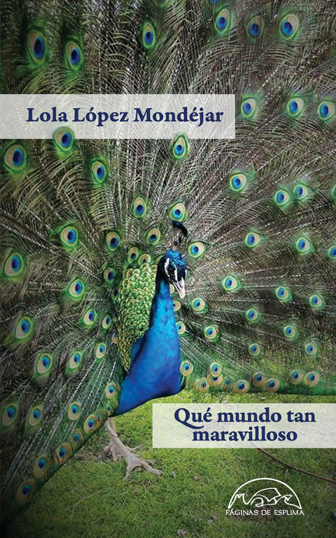 QUÉ MUNDO TAN MARAVILLOSO 