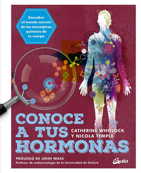  Conoce a tus hormonas 