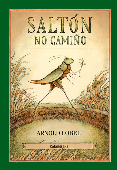  SALTON NO CAMIÑO 