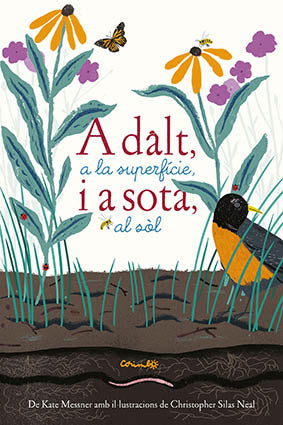  ADALT A LA SUPERFÍCIE I A SOTA AL SOL 