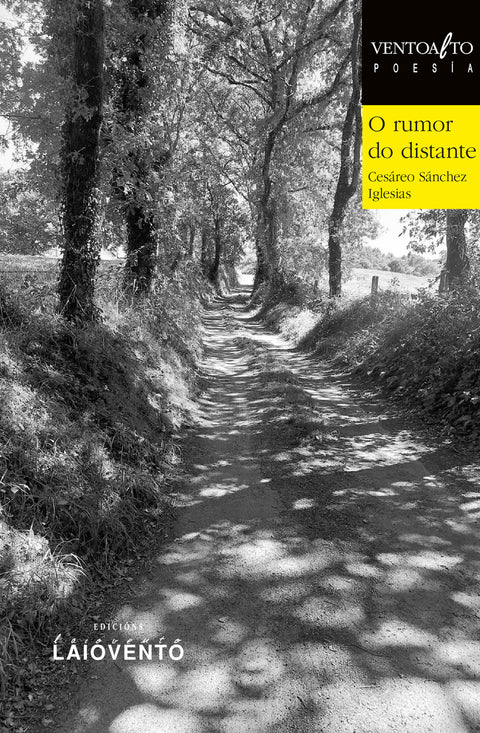  O rumor do distante 
