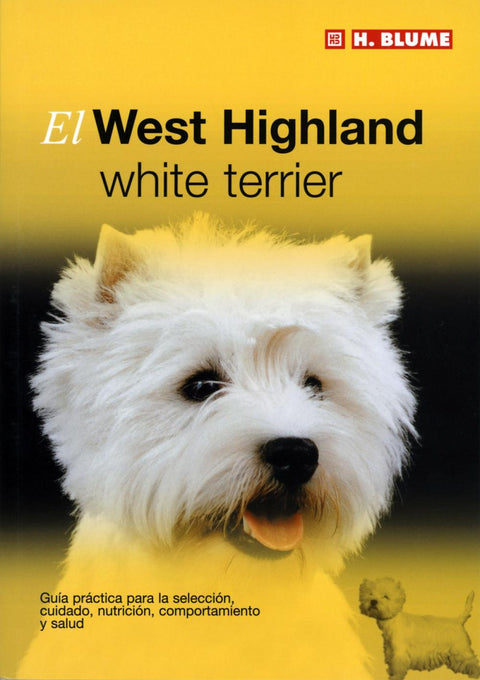  West higland y white terrier 