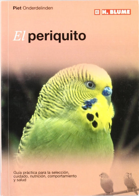  Periquito 