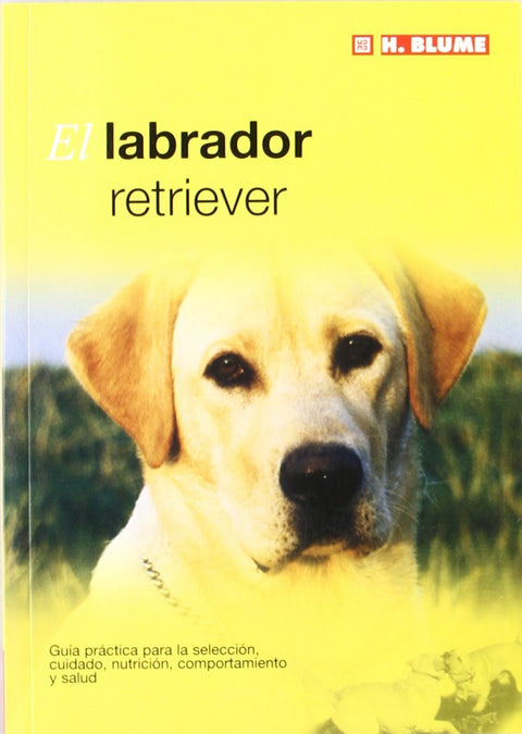  Labrador retriever 