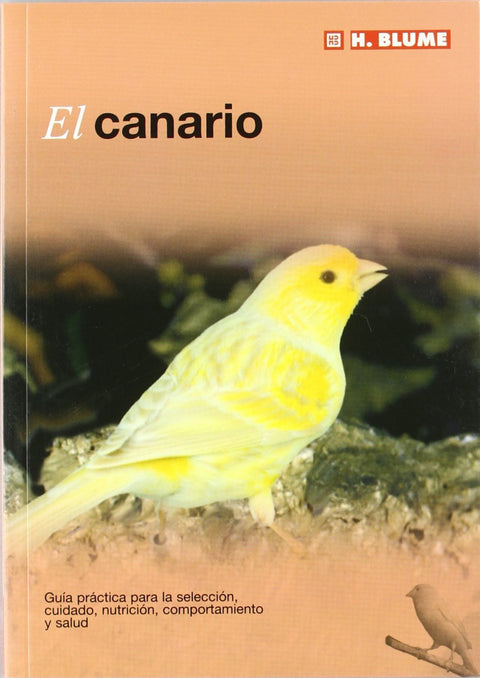  El canario 